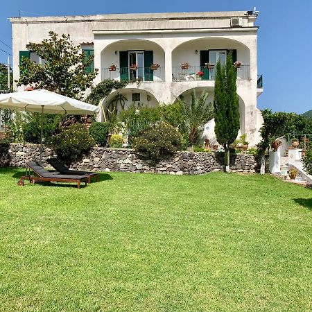 Villa Vincenzo Di Meglio Barano dʼIschia Eksteriør bilde
