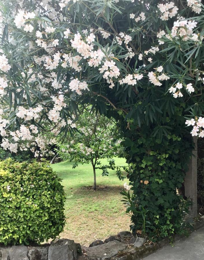 Villa Vincenzo Di Meglio Barano dʼIschia Eksteriør bilde