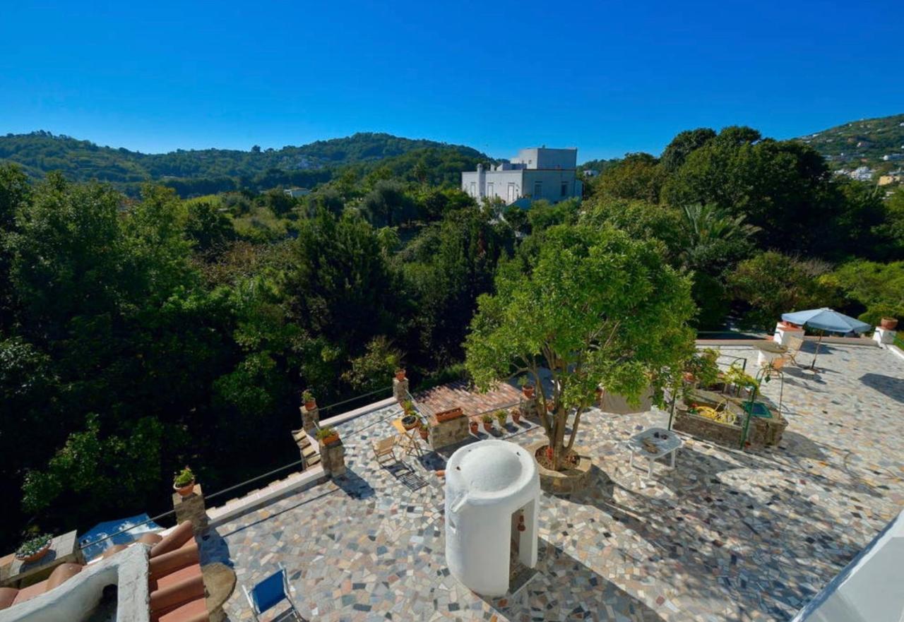 Villa Vincenzo Di Meglio Barano dʼIschia Eksteriør bilde