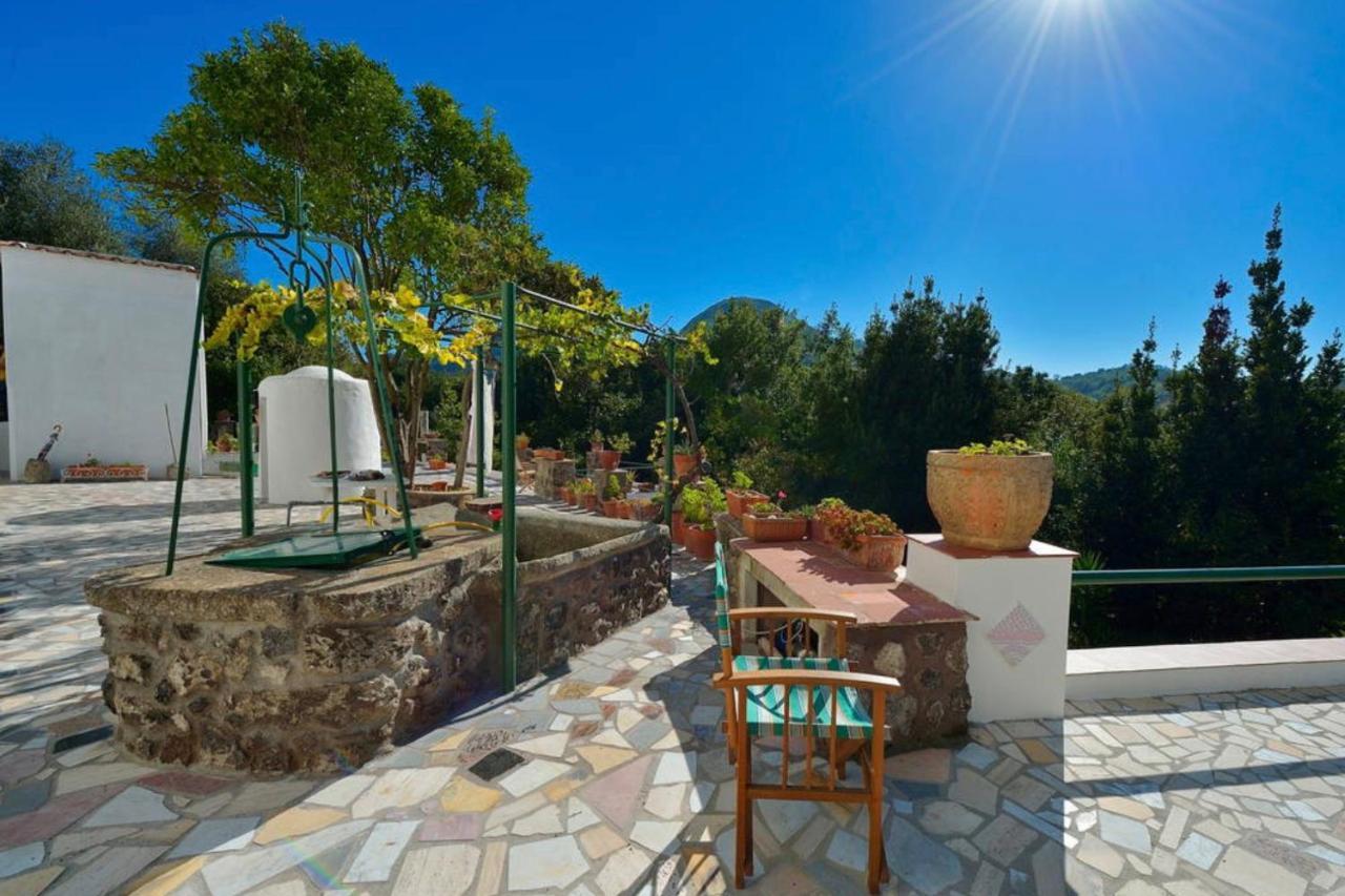 Villa Vincenzo Di Meglio Barano dʼIschia Eksteriør bilde