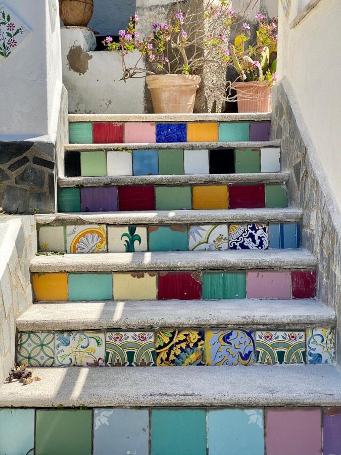 Villa Vincenzo Di Meglio Barano dʼIschia Eksteriør bilde