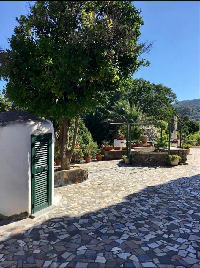 Villa Vincenzo Di Meglio Barano dʼIschia Eksteriør bilde