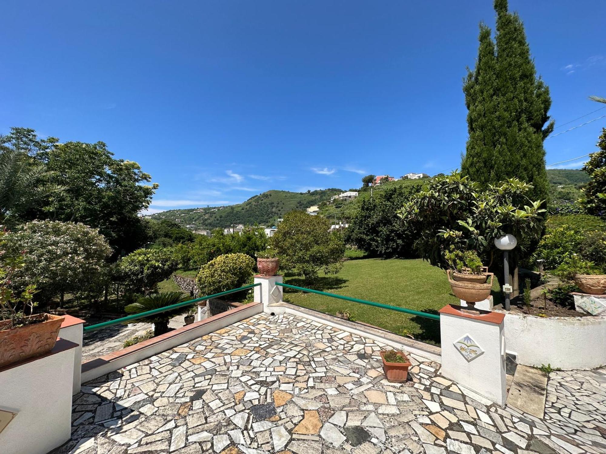 Villa Vincenzo Di Meglio Barano dʼIschia Eksteriør bilde