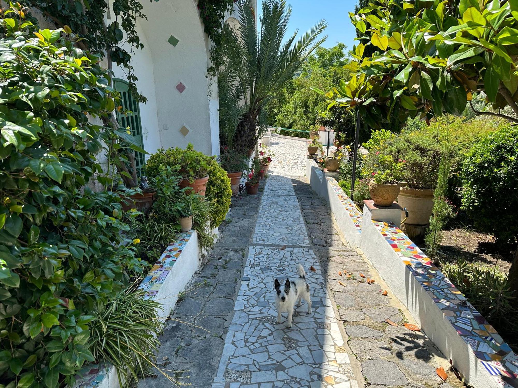Villa Vincenzo Di Meglio Barano dʼIschia Eksteriør bilde