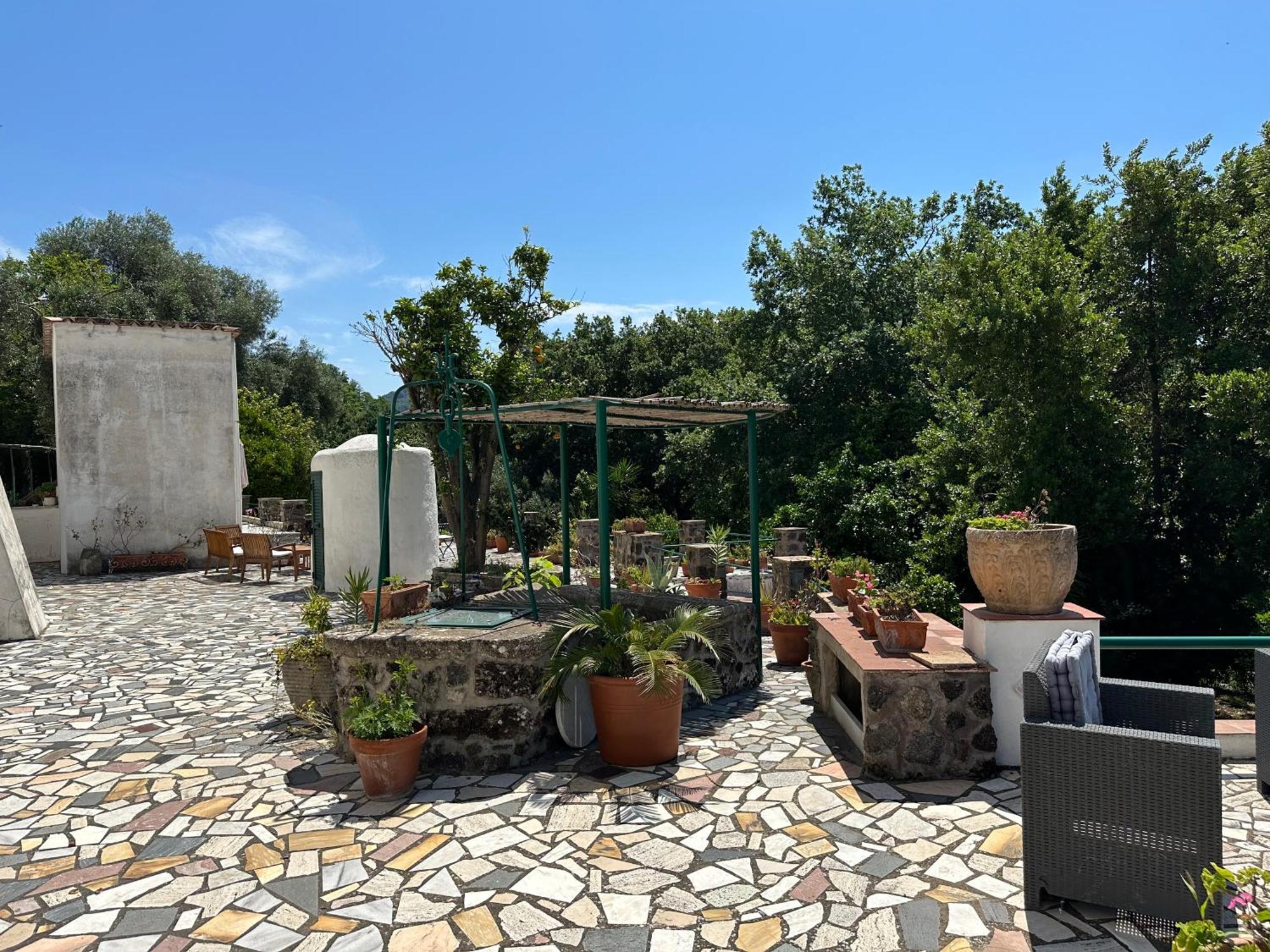 Villa Vincenzo Di Meglio Barano dʼIschia Eksteriør bilde