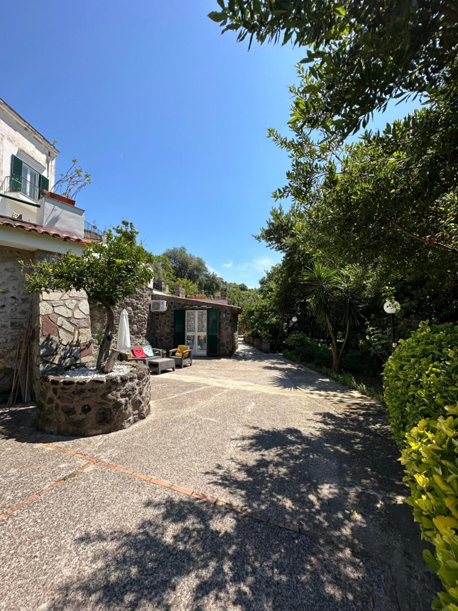 Villa Vincenzo Di Meglio Barano dʼIschia Eksteriør bilde