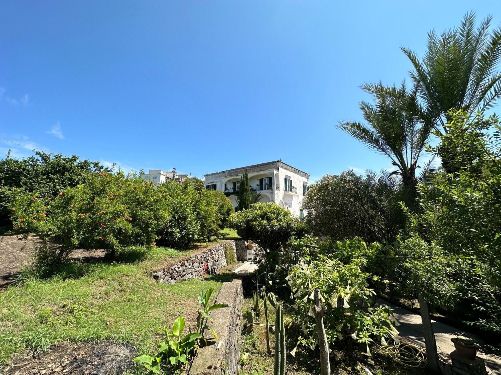 Villa Vincenzo Di Meglio Barano dʼIschia Eksteriør bilde