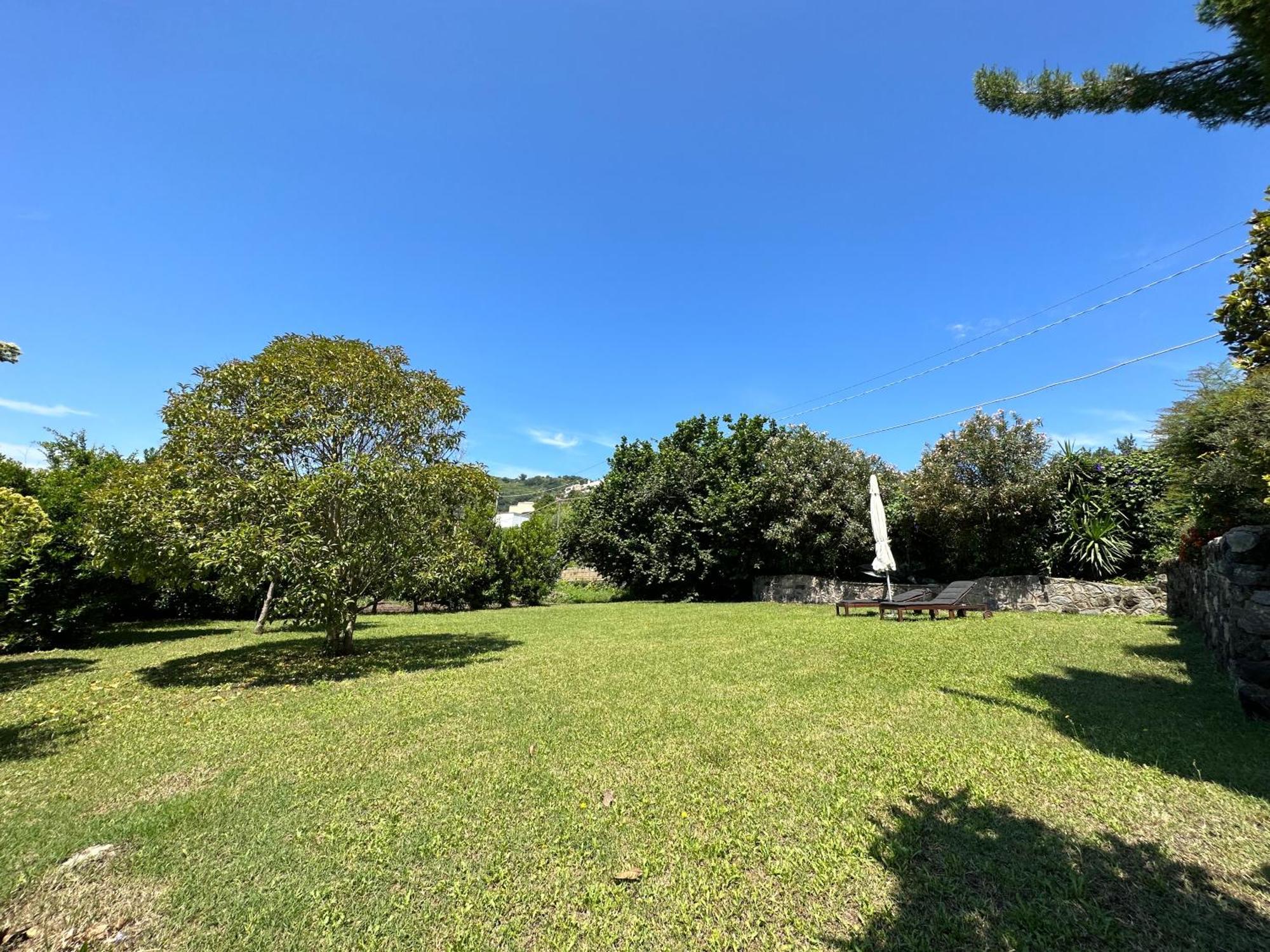 Villa Vincenzo Di Meglio Barano dʼIschia Eksteriør bilde