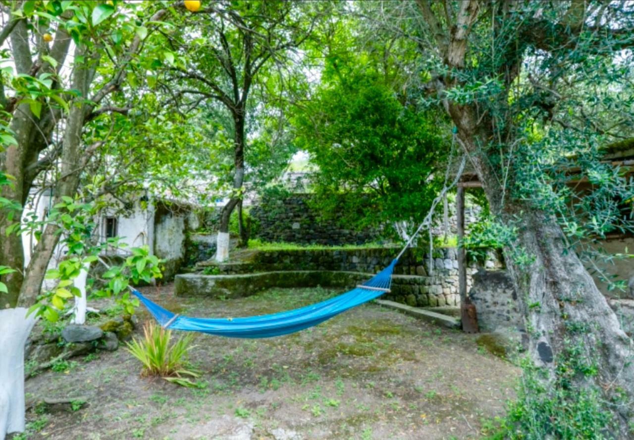 Villa Vincenzo Di Meglio Barano dʼIschia Eksteriør bilde