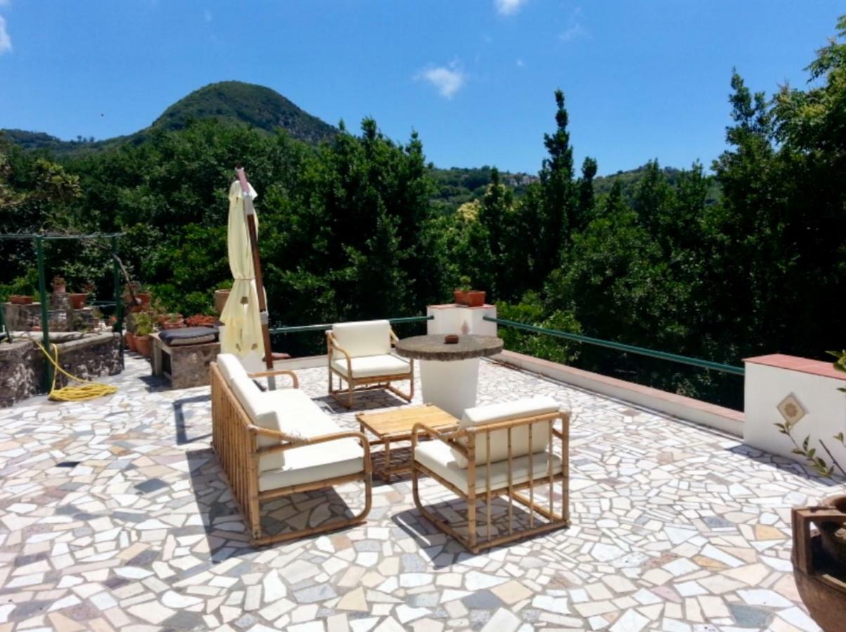 Villa Vincenzo Di Meglio Barano dʼIschia Eksteriør bilde