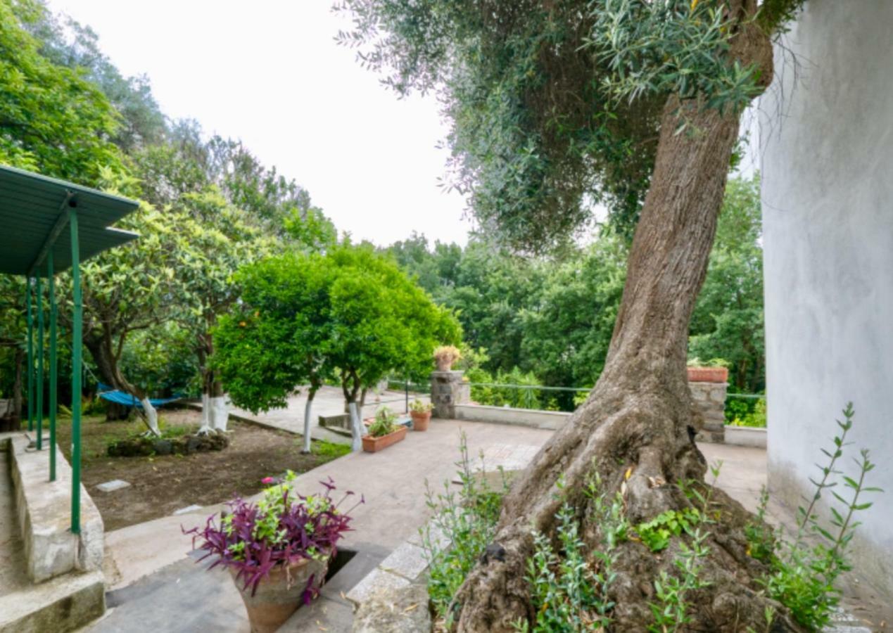 Villa Vincenzo Di Meglio Barano dʼIschia Eksteriør bilde