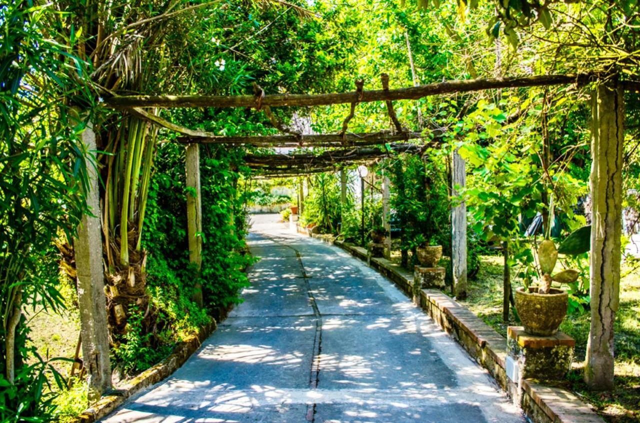 Villa Vincenzo Di Meglio Barano dʼIschia Eksteriør bilde
