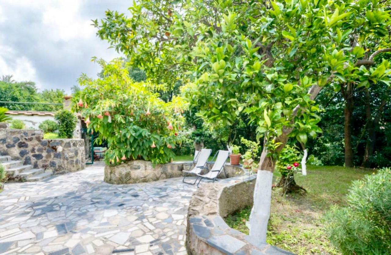 Villa Vincenzo Di Meglio Barano dʼIschia Eksteriør bilde