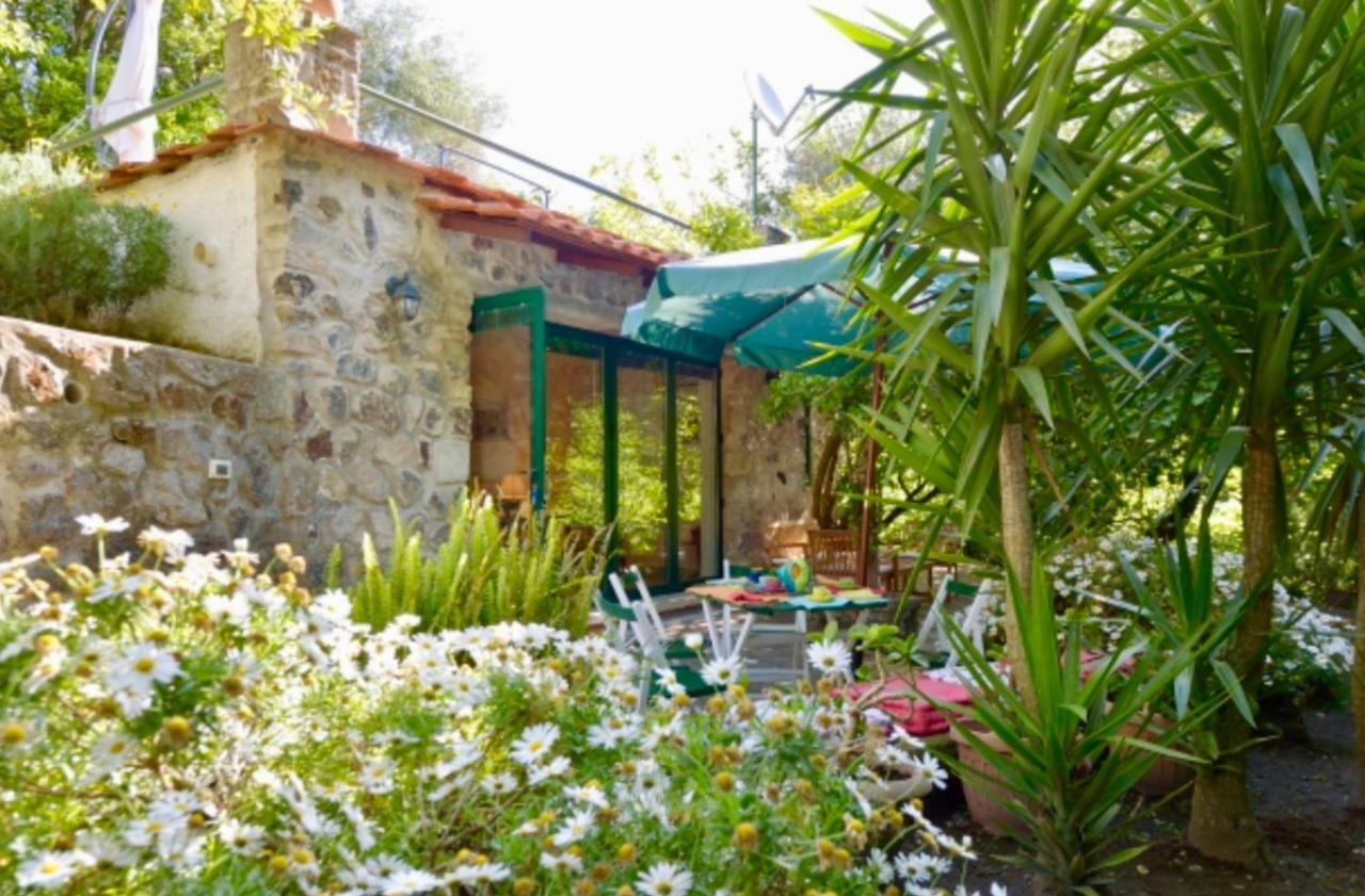 Villa Vincenzo Di Meglio Barano dʼIschia Eksteriør bilde