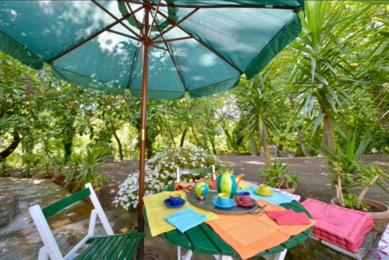 Villa Vincenzo Di Meglio Barano dʼIschia Eksteriør bilde