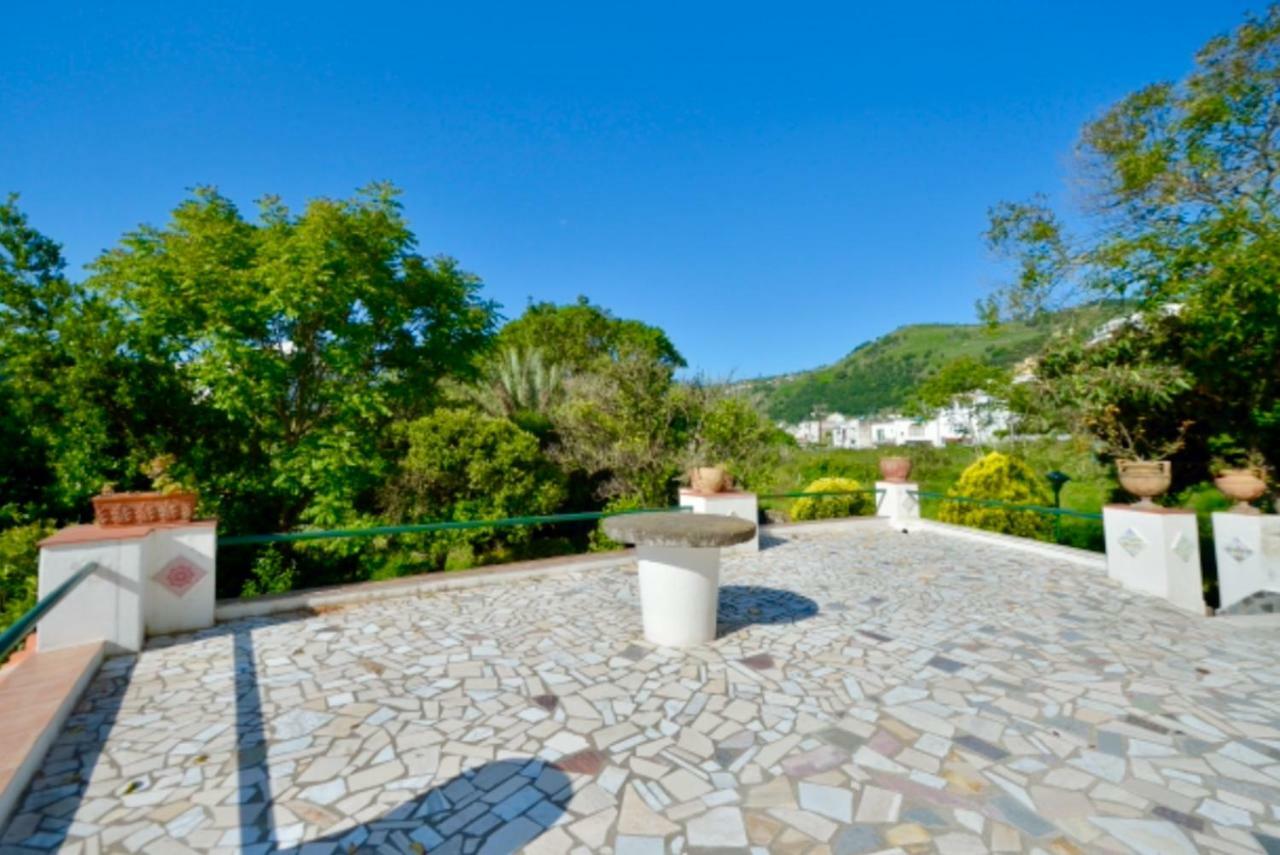 Villa Vincenzo Di Meglio Barano dʼIschia Eksteriør bilde