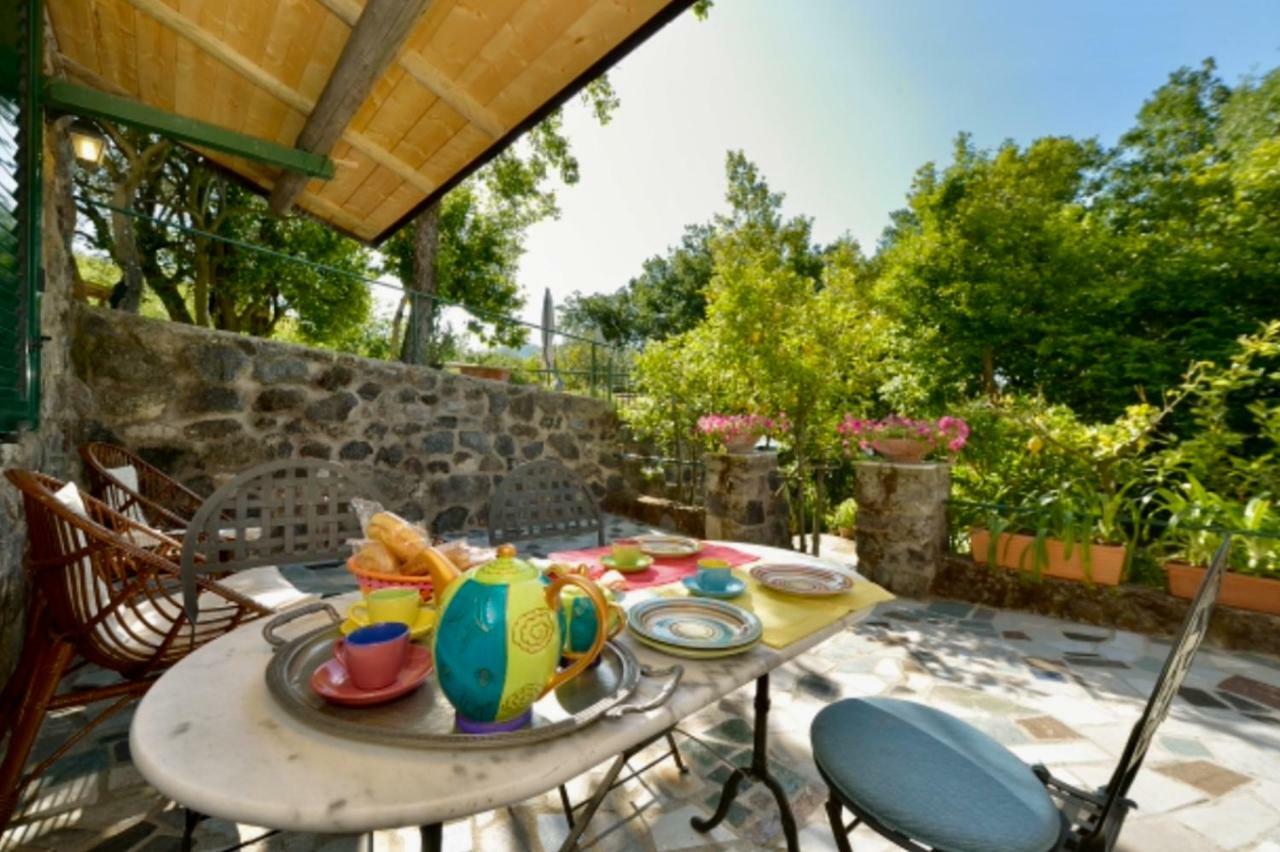Villa Vincenzo Di Meglio Barano dʼIschia Eksteriør bilde